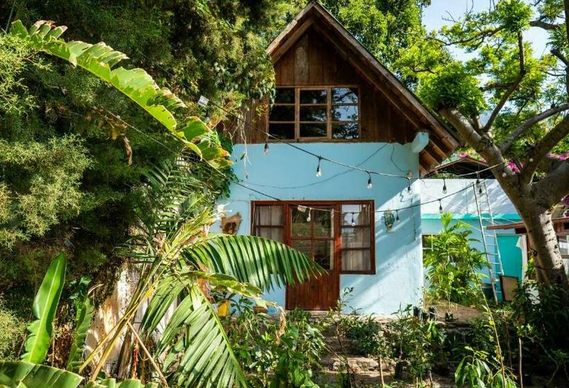 آپارتمان 1 خوابه با چشمانداز باغ, Eden Atitlan