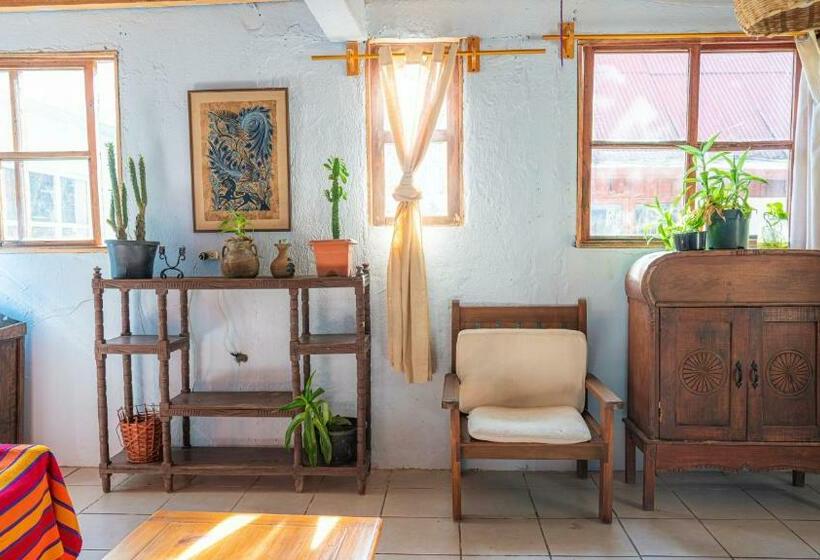 آپارتمان 1 خوابه با چشمانداز باغ, Eden Atitlan