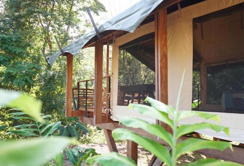 デラックススイート, Sangha Retreat