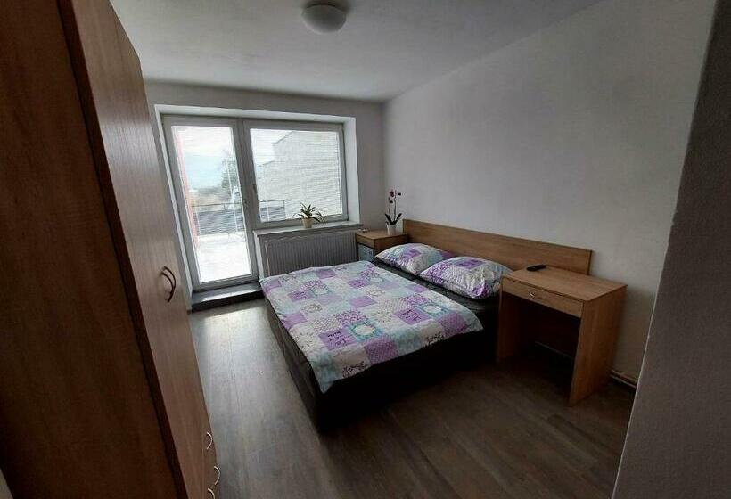 スタンダードルーム, Penzion Strachotín