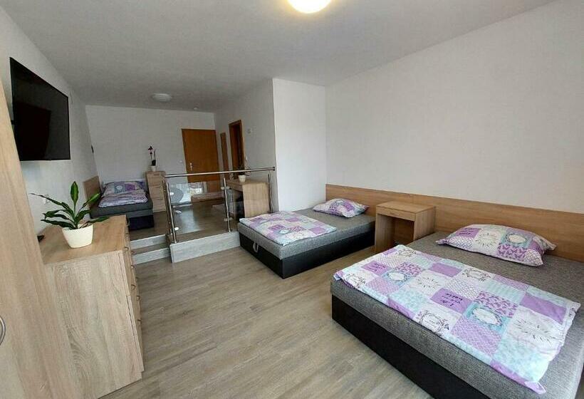 スタンダードルーム, Penzion Strachotín