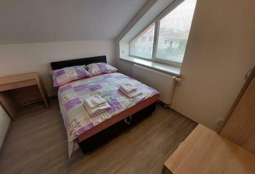 スタンダードルーム, Penzion Strachotín