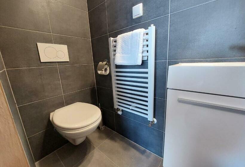 スタンダードルーム, Penzion Strachotín