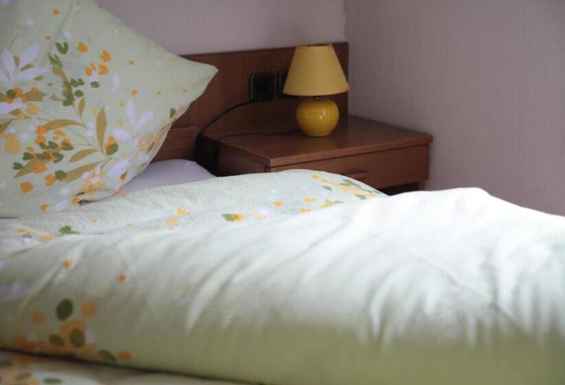 스탠다드 싱글 룸, Berleburger Hof