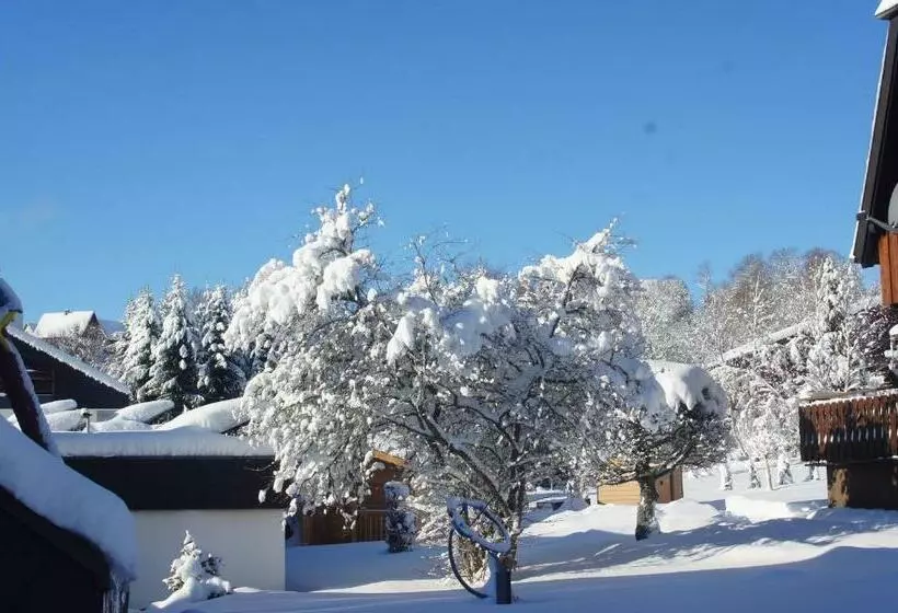 Standard-huone, Landhotel Garni Schweizerhaus