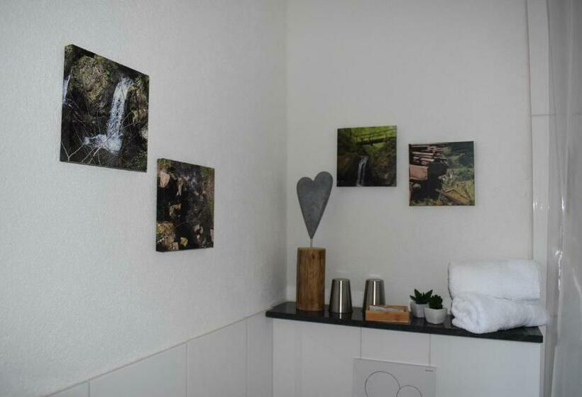 Номер Стандарт Индивидуальный, Landgasthof Zur Sonne