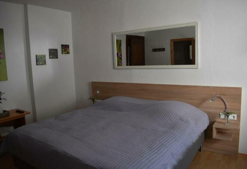 Номер Стандарт Индивидуальный, Landgasthof Zur Sonne