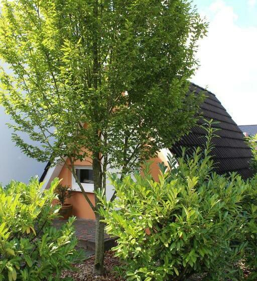 اتاق استاندارد, Pur