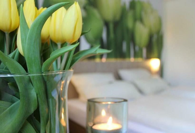 اتاق استاندارد, Pur