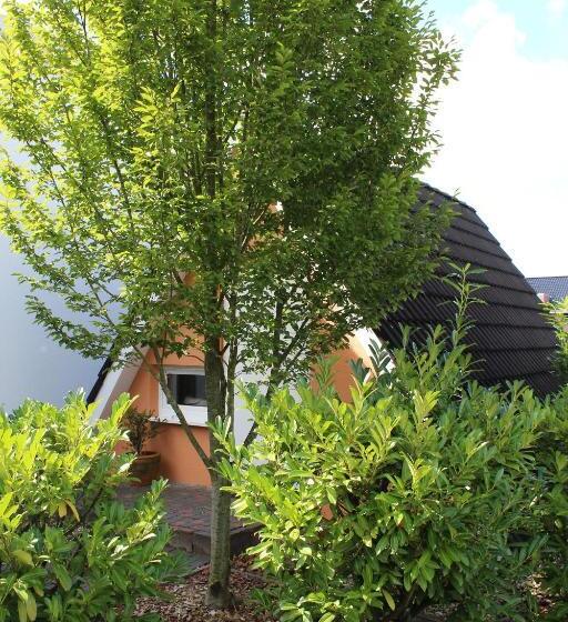 اتاق استاندارد یک نفره, Pur