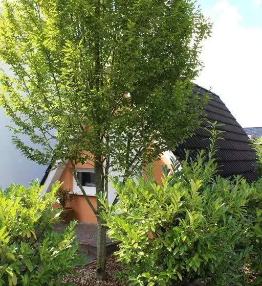 Standard Kolmen Hengen Huone, Pur