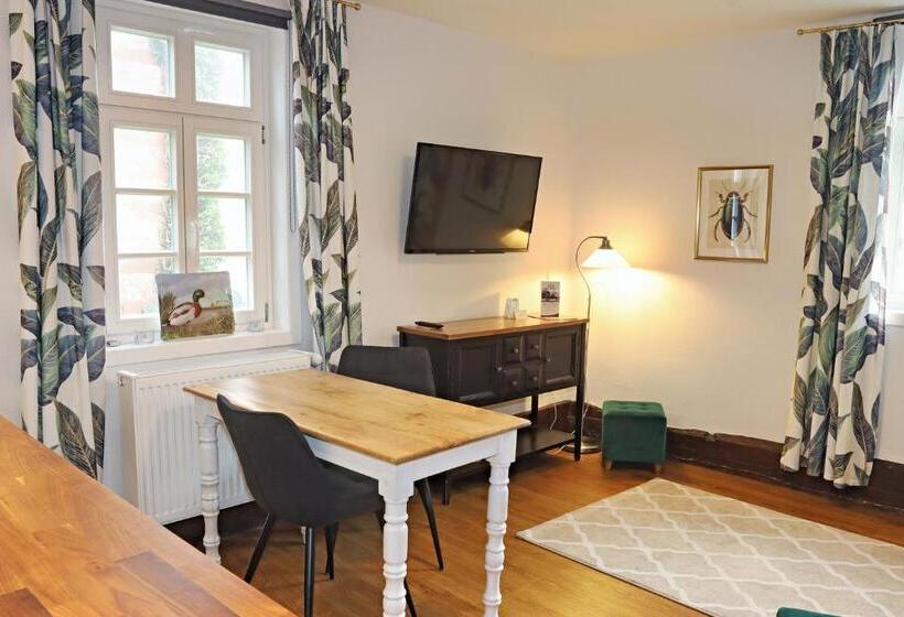 Апартаменты 1 Спальня, Vorderburg