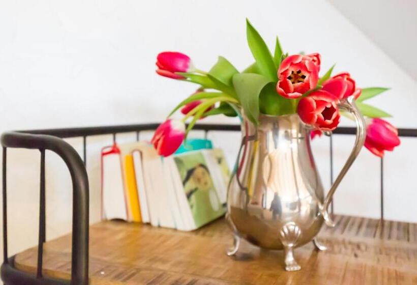 Номер Стандарт, Vorderburg