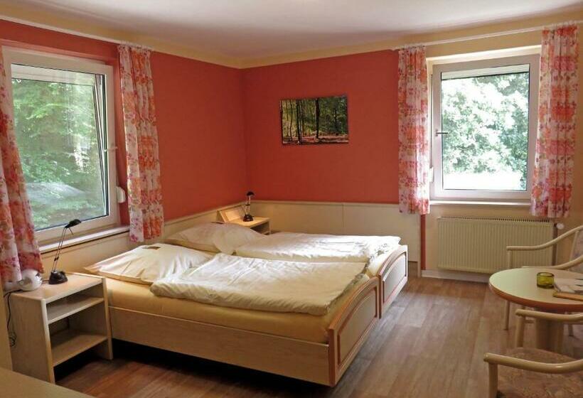 غرفة قياسية, Land Gut Hotel Waldesruh