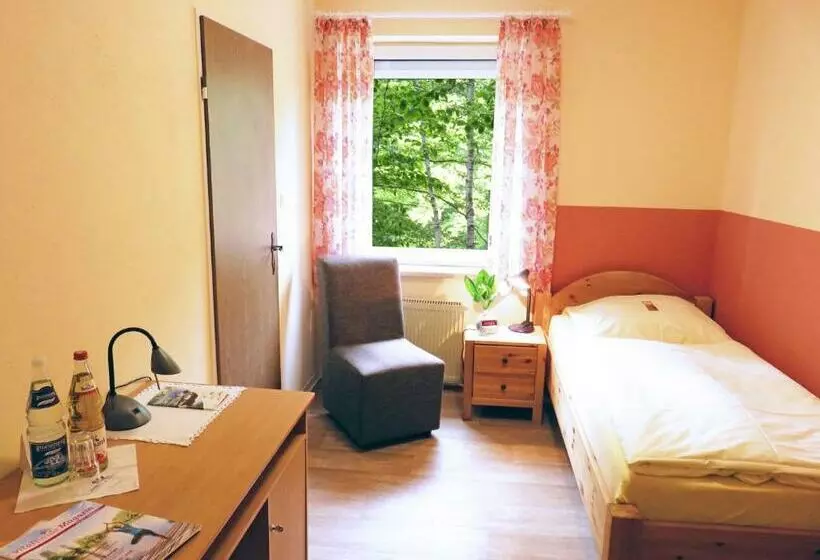 スタンダードシングルルーム, Land Gut Hotel Waldesruh