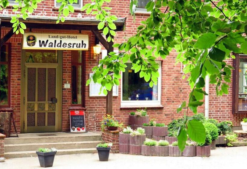 غرفة قياسية فردية, Land Gut Hotel Waldesruh