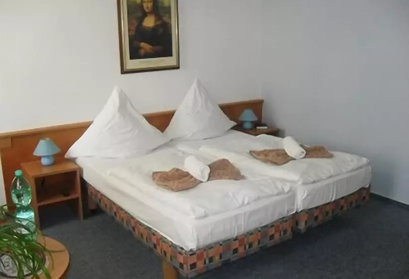 身障者適用スタンダードルーム, Landhotel Peters
