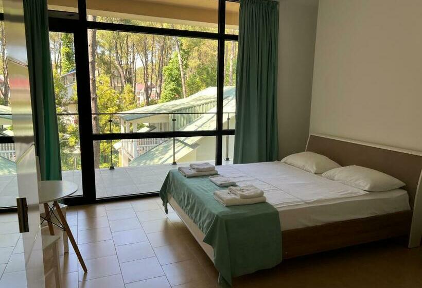 اتاق اکونومی, Aparthotel Majak Shekvetili