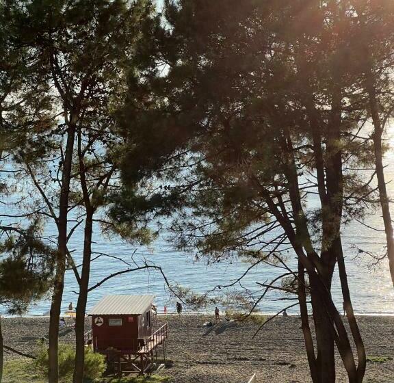 استودیوی لوکس, Aparthotel Majak Shekvetili