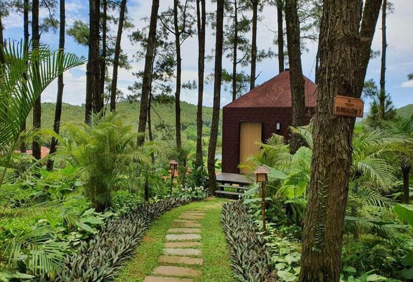 اتاق استاندارد با تخت بزرگ, Trang An Golf And Resort