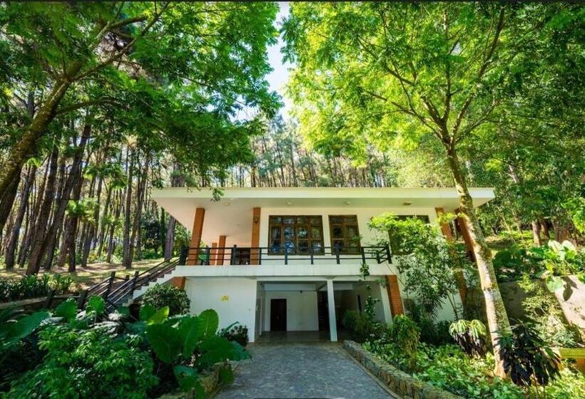 ویلای 1 خوابه, Trang An Golf And Resort