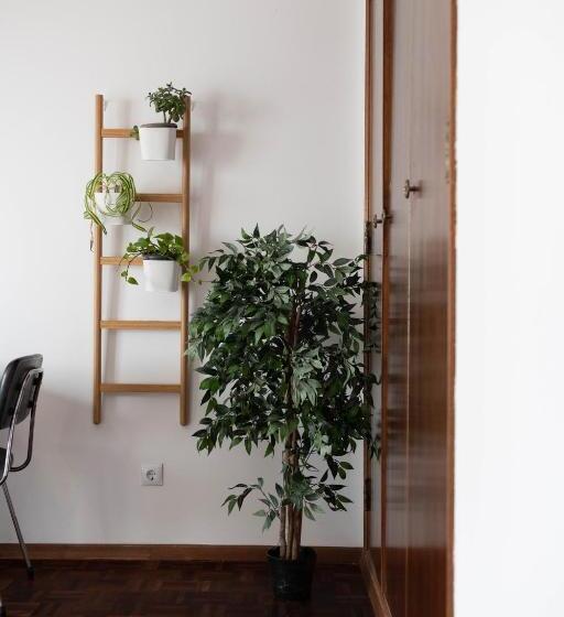 اتاق خانوادگی با سرویس بهداشتی مشترک, Kirana House