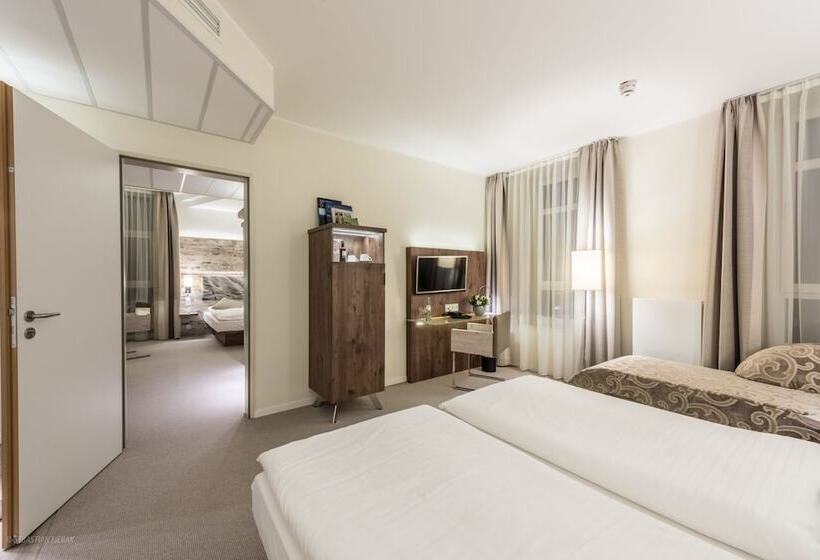 Люкс, Arkadenhaus   Hotel Freiherr Von Schwarzenberg