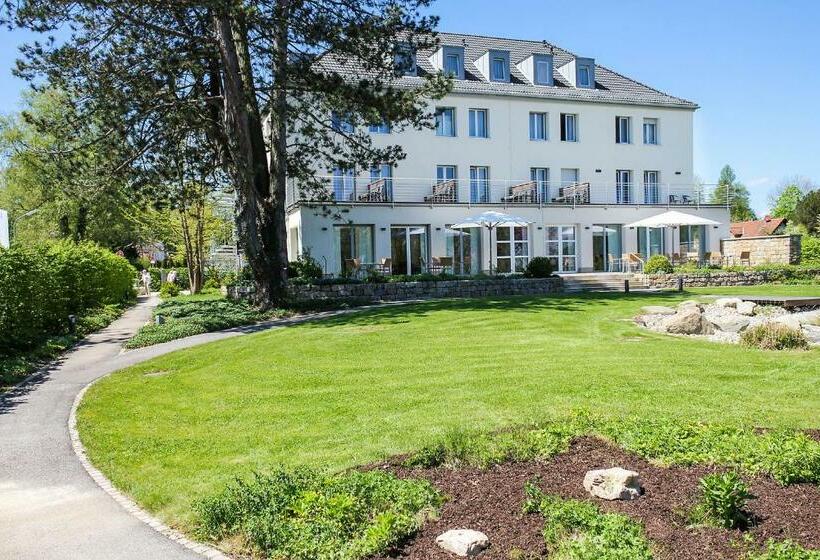 单人基本间, Ammerseehäuser