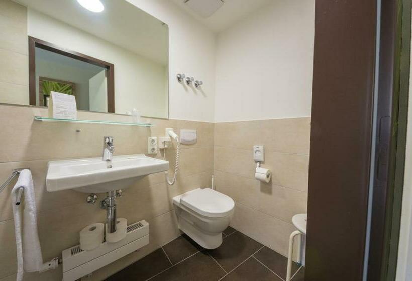 标准单人间, Ammerseehäuser