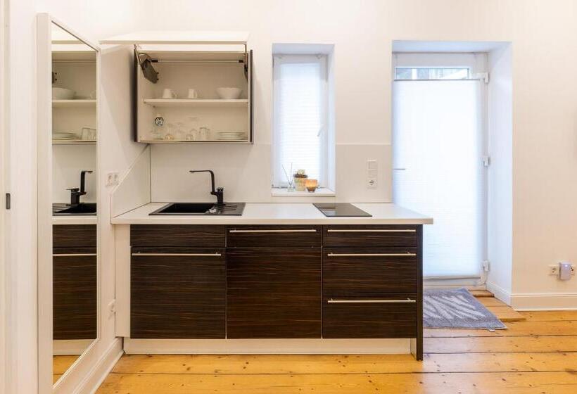 带1个卧室的公寓, Appartements An Der Therme