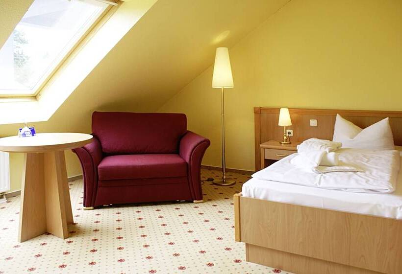 스탠다드 싱글 룸, Ostseehotel Villen Im Park   Ein Rovell