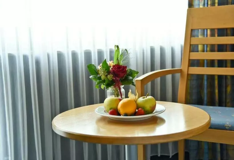 スタンダードルーム, Parkhotel Am Schänzchen
