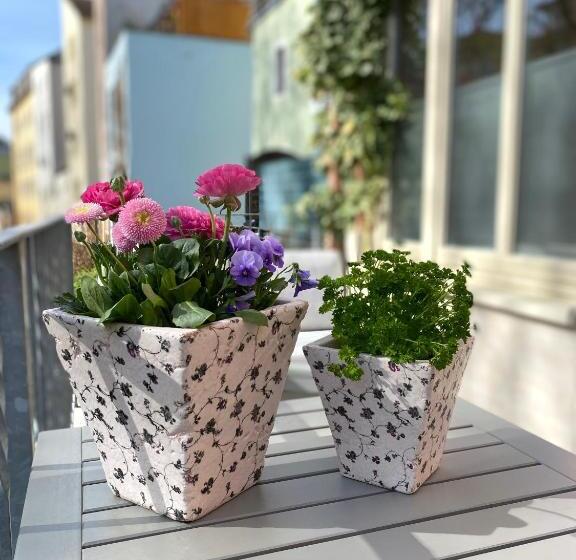 شقة غرفة واحدة, Pension22