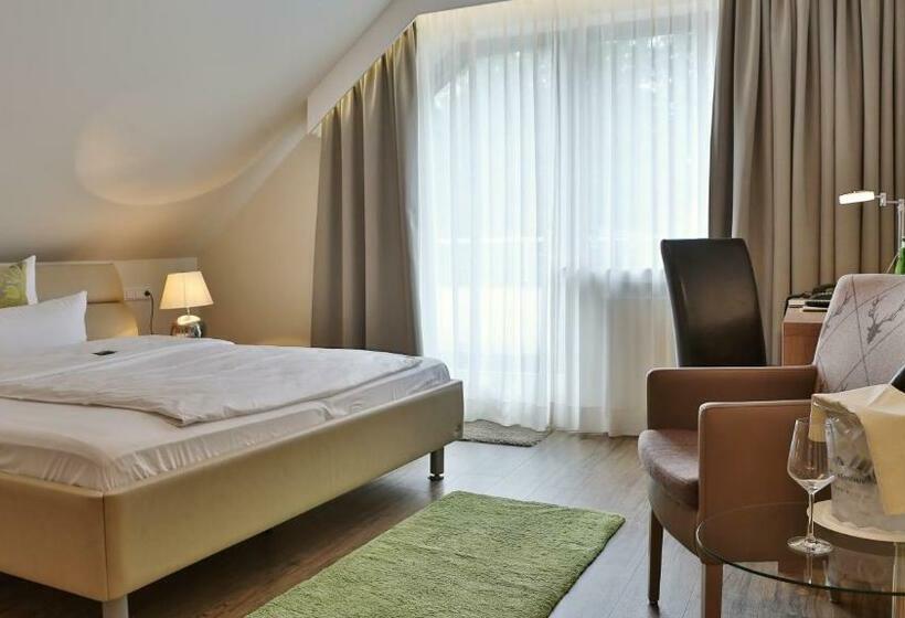 스탠다드 발코니 룸, Rodelhaus