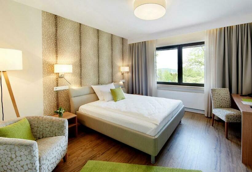 스탠다드 싱글 룸, Rodelhaus