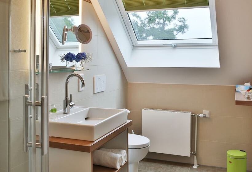 스탠다드 싱글 룸, Rodelhaus