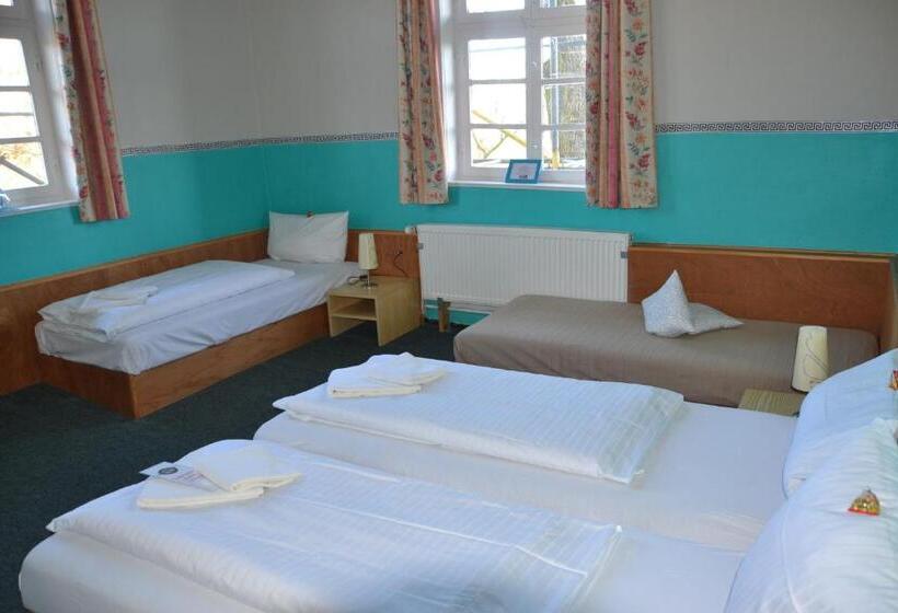 스탠다드 트리플 룸, Tonenburg