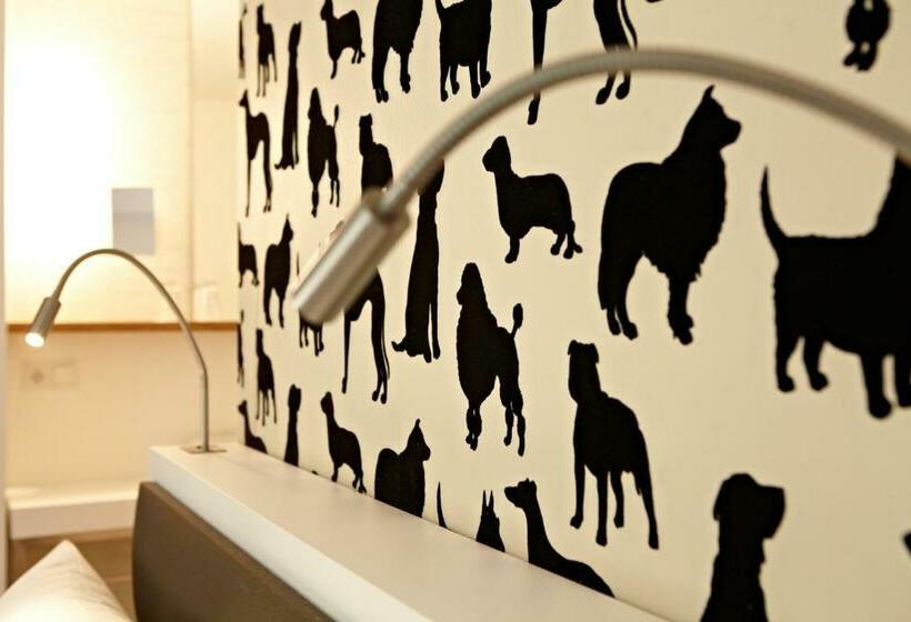 סוויטת ג'וניור, V