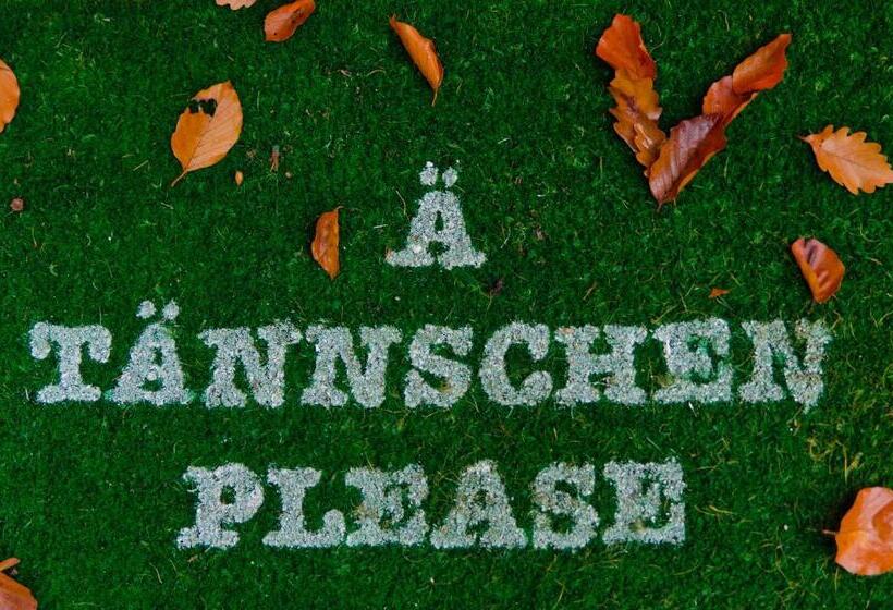 בית, חדר שינה 1, V