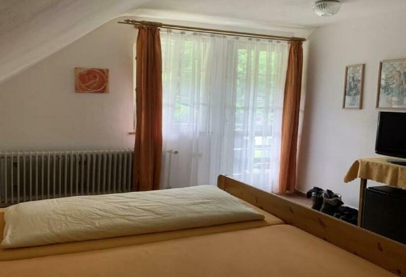 חדר סטנדרט יחיד, Waldeck In Todtnau