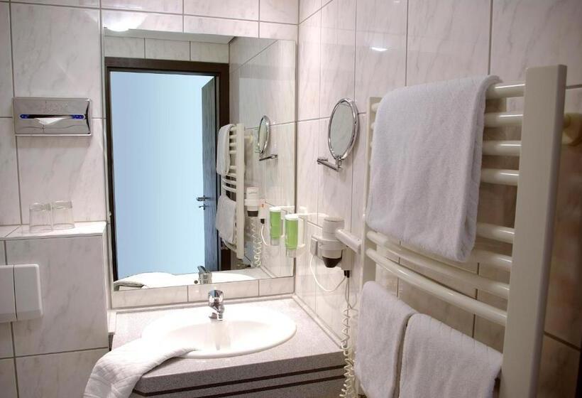 이코노미 룸, Parkhotel Am Schänzchen