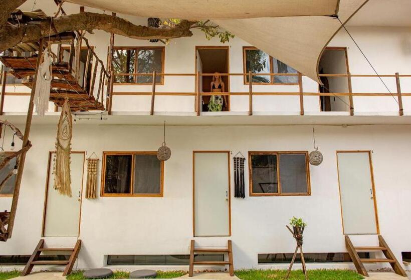 تختخواب در اتاق مشترک, Casa Om Chakra