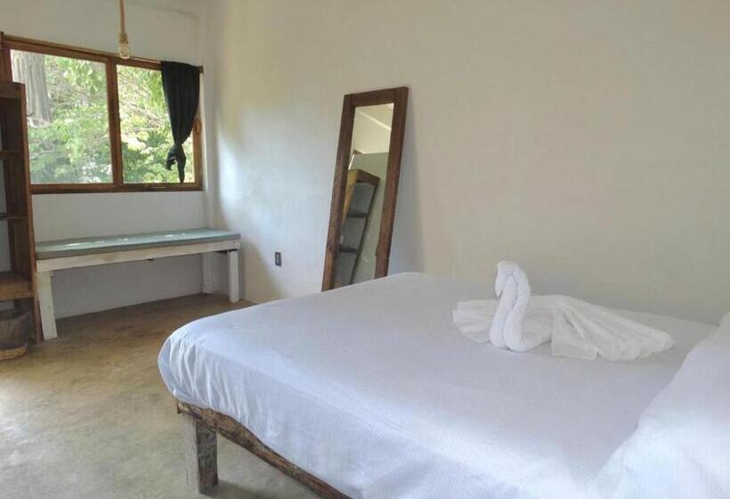 اتاق اکونومی, Casa Om Chakra