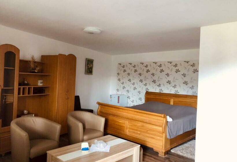 חדר סטנדרט נוף לגינה, Casa Vasu