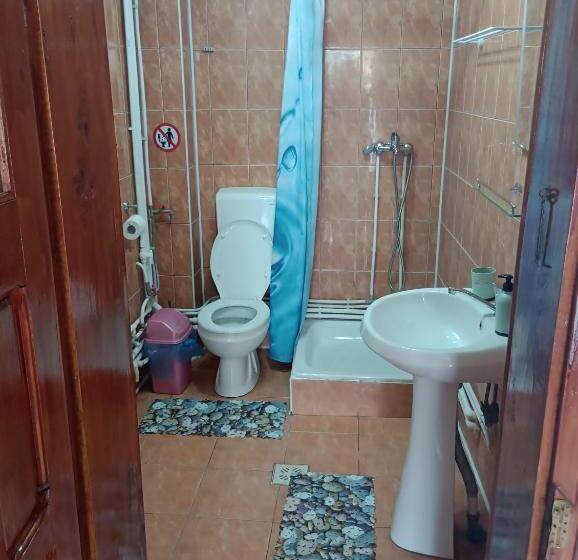 Standard room with outdoor bath, Casa Ilinca