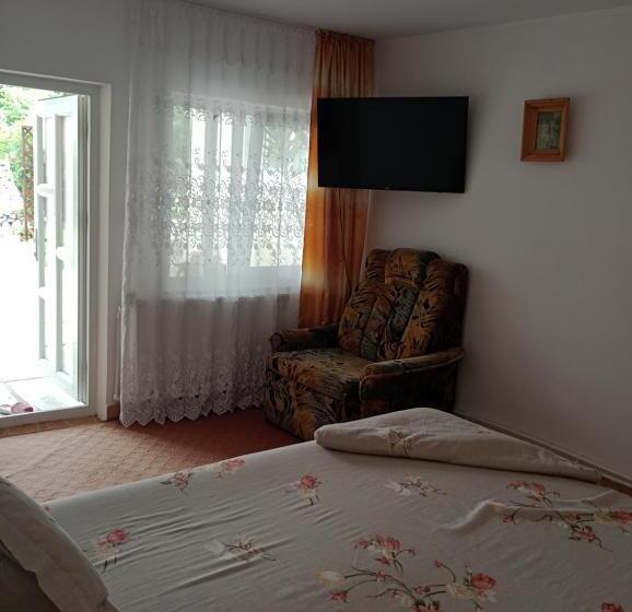 Standard room with outdoor bath, Casa Ilinca