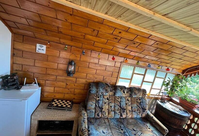 Апартаменты 2 Спальни с Террасой, Casa Ilinca