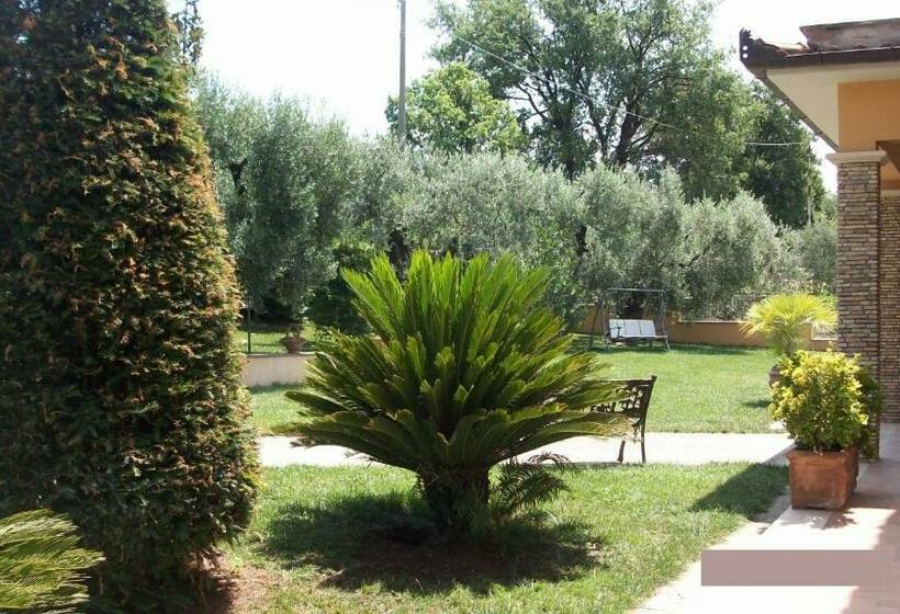 Номер Deluxe, Il Giardino Degli Ulivi