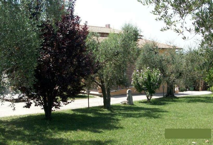 デラックスルーム, Il Giardino Degli Ulivi