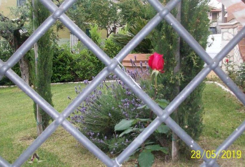 デラックスルーム, Il Giardino Degli Ulivi